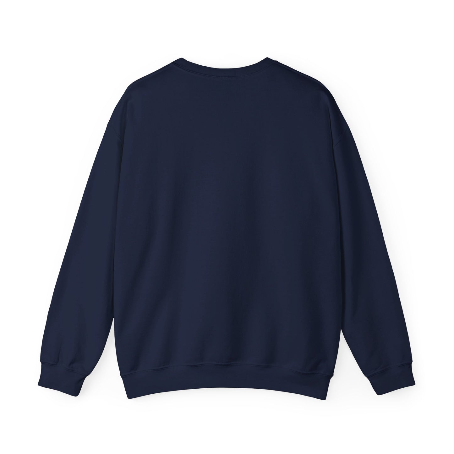 Astro crewneck