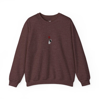 Astro crewneck