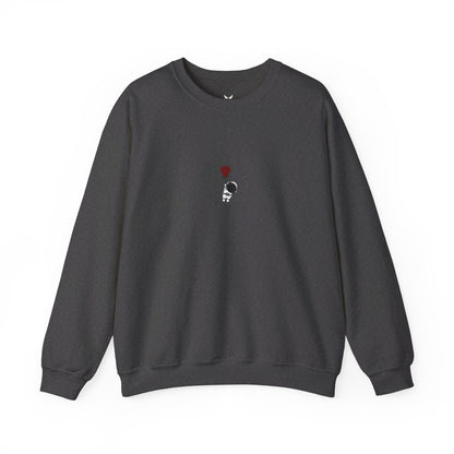 Astro crewneck