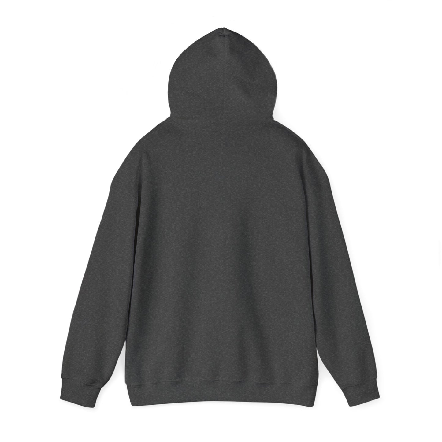 Astro Hoodie