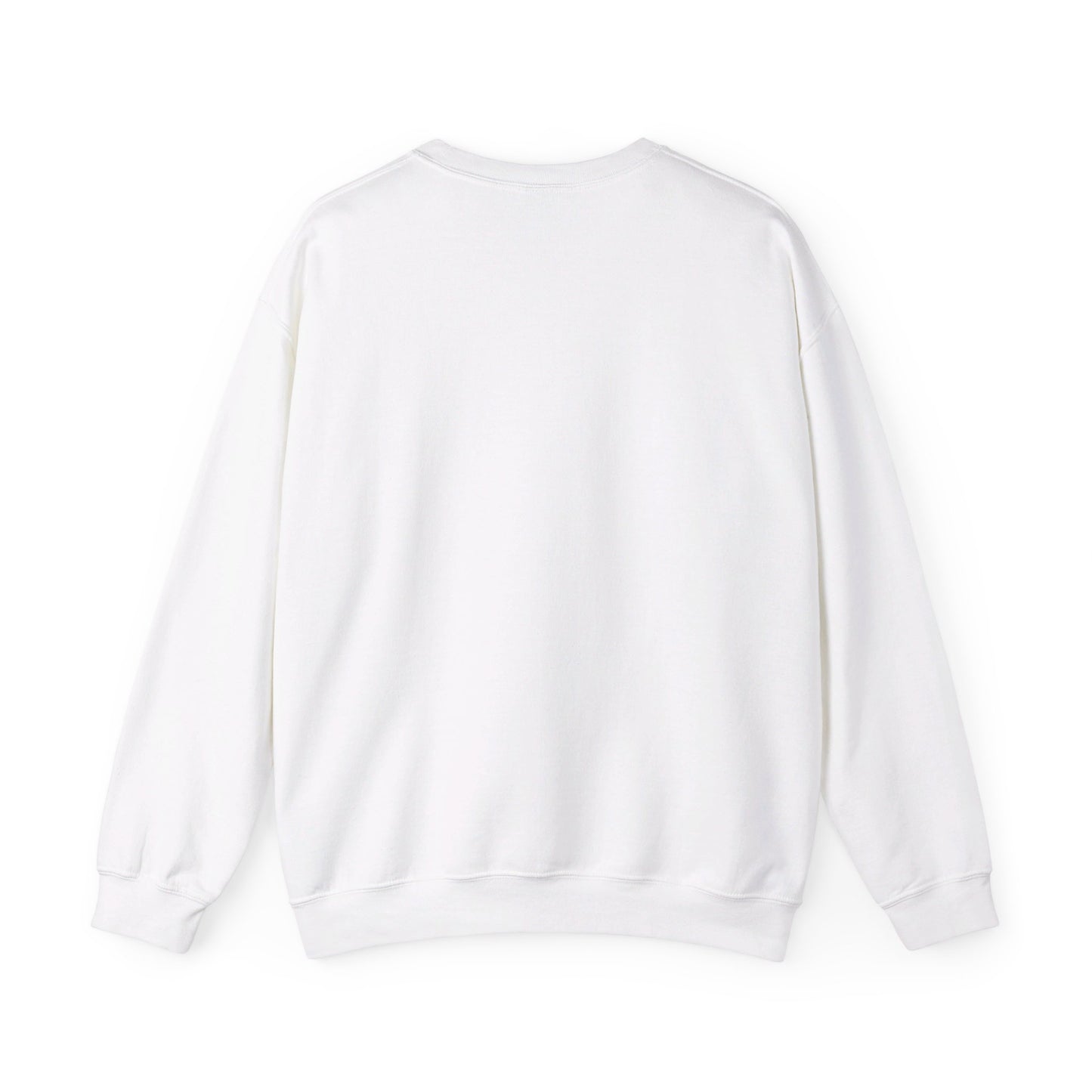 Astro crewneck